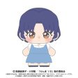 BANDAI Purinuittachi Dream Mini Ranma 1 2 Akane Tendo Plush JAPAN OFFICIAL Hot on Sale