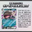 Pokemon Card Game Generations Koraidon ex & Clodsire ex Starter Deck TCG JAPAN Sale