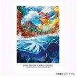 Pokemon Center Original Card Sleeves Hoenn Adventures Kyogre & Blaziken JAPAN Cheap