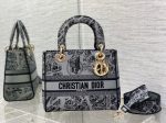 BC - Dior Bags - 039 Cheap