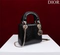 BC - Dior Bags - 102 Cheap