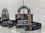 BC - Dior Bags - 1016 Online