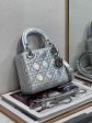 BC - Dior Bags - 1013 Online Hot Sale