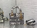 BC - Dior Bags - 1009 Online Hot Sale